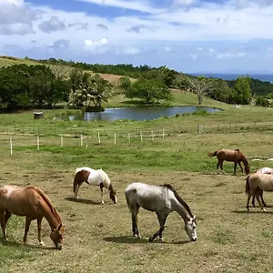 La Ferme Des Etangs Riviere-Salee